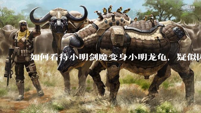 如何看待小明剑魔变身小明龙龟，疑似因为财产问题引发离婚风波？