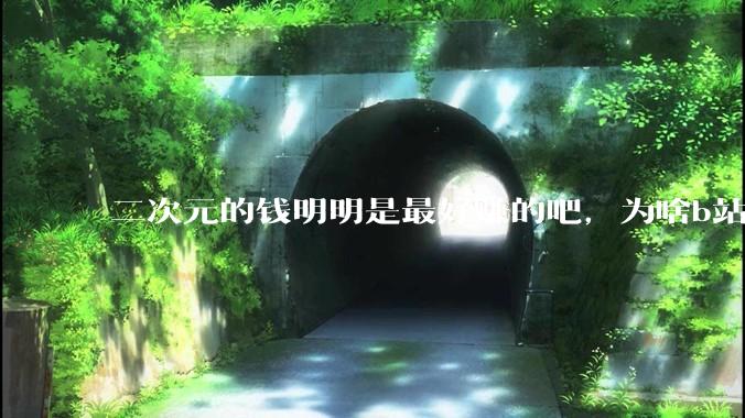 二次元的钱明明是最好赚的吧，为啥b站会亏损到现在呢？