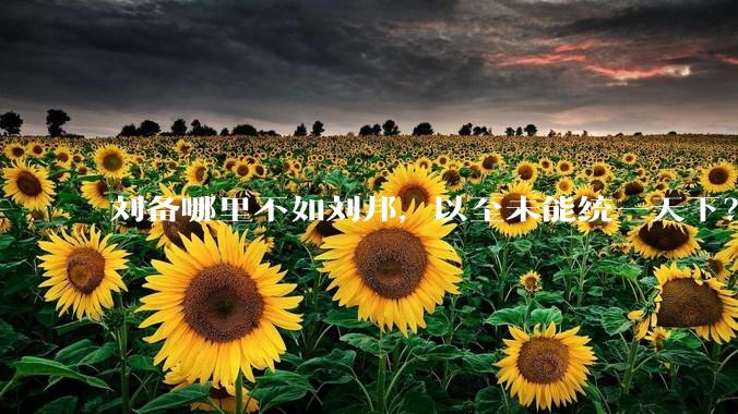 刘备哪里不如刘邦，以至未能统一天下？