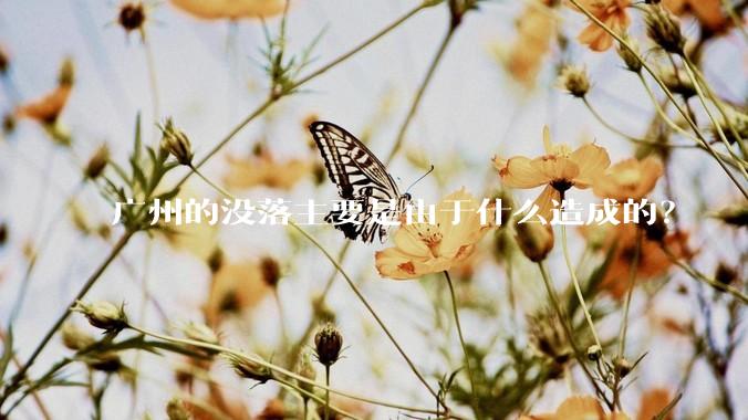 广州的没落主要是由于什么造成的？