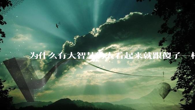 为什么有大智慧的人看起来就跟傻子一样？