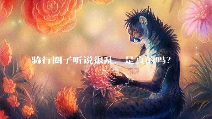 骑行圈子听说很乱，是真的吗？