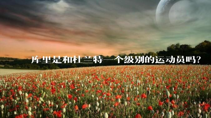 库里是和杜兰特一个级别的运动员吗？