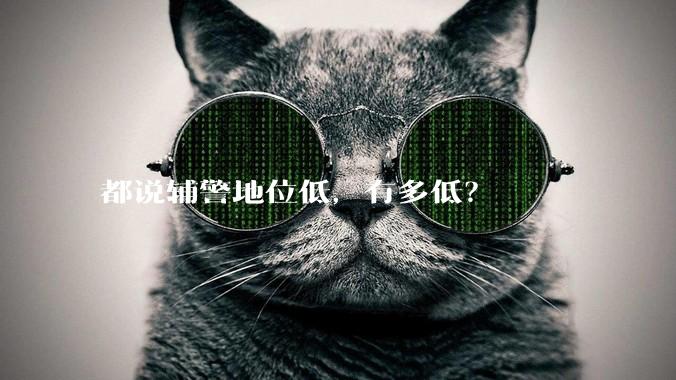 都说辅警地位低，有多低？