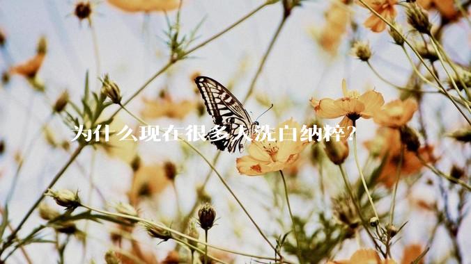 为什么现在很多人洗白纳粹？