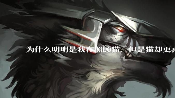 为什么明明是我在照顾猫，但是猫却更喜欢我老公？