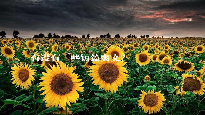 有没有一些短篇爽文？