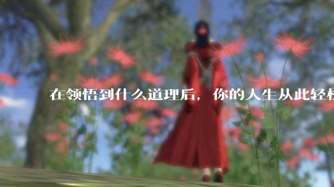 在领悟到什么道理后，你的人生从此轻松了起来？