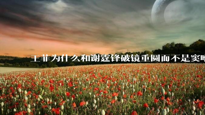 王菲为什么和谢霆锋破镜重圆而不是窦唯？