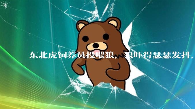 东北虎饲养员投喂狼，狼吓得瑟瑟发抖，真的是「血脉压制」吗？可能是哪些原因造成的？