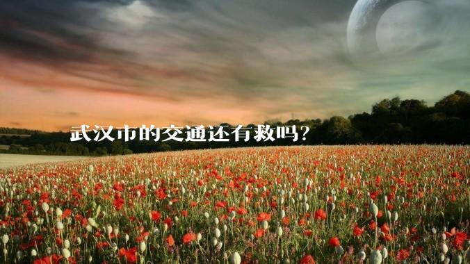 武汉市的交通还有救吗？