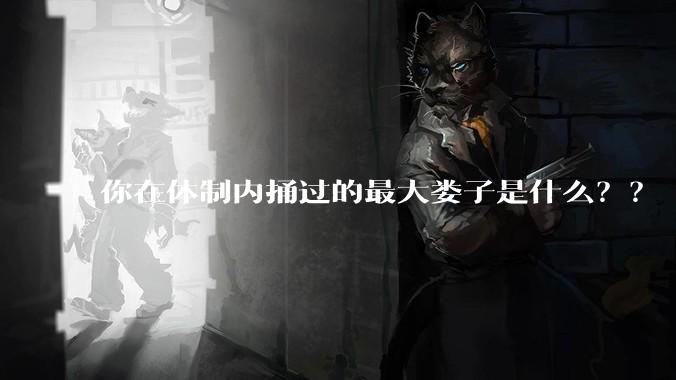 你在体制内捅过的最大娄子是什么？？