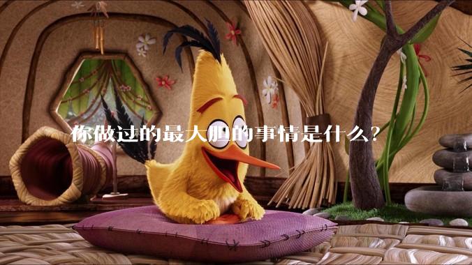 你做过的最大胆的事情是什么？