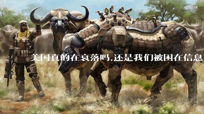 美国真的在衰落吗,还是我们被困在信息茧房?