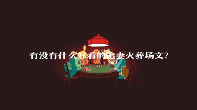有没有什么好看的追妻火葬场文？